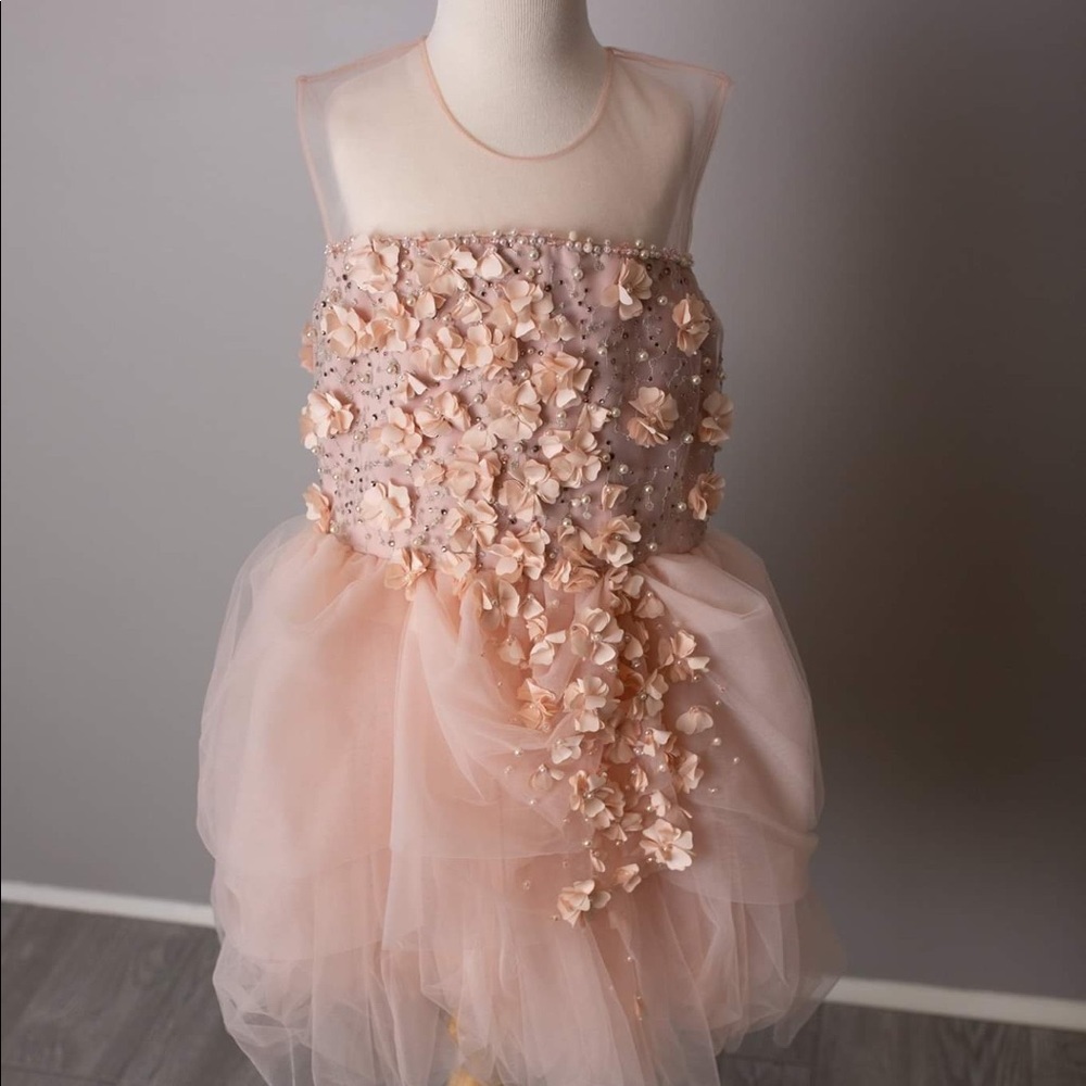 Soapbox kids Meet me in the meadow  size 8 Peach dress